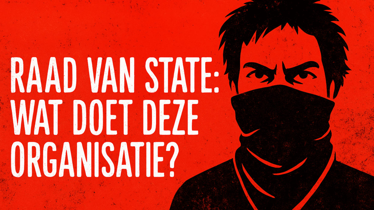 Raad Van State Wat doet deze organisatie